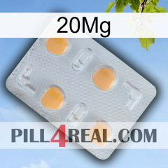 20Mg 24